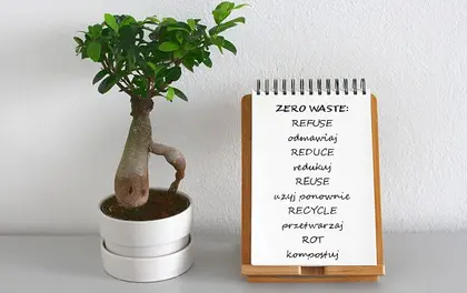 Prezent ślubny zero waste / less waste